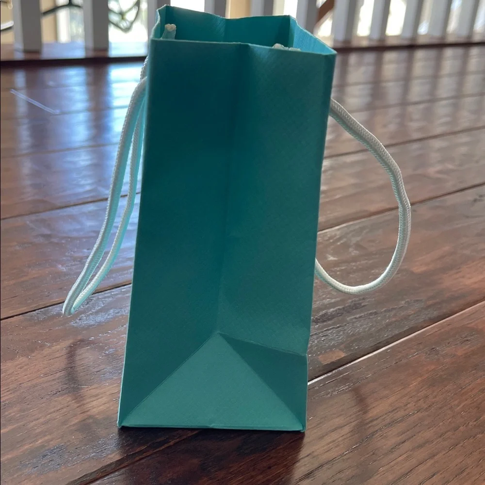 Tiffany Shopping Bag, Jewelry Bag, Blue Box & Envelope - NWT - Picture 5 of 11